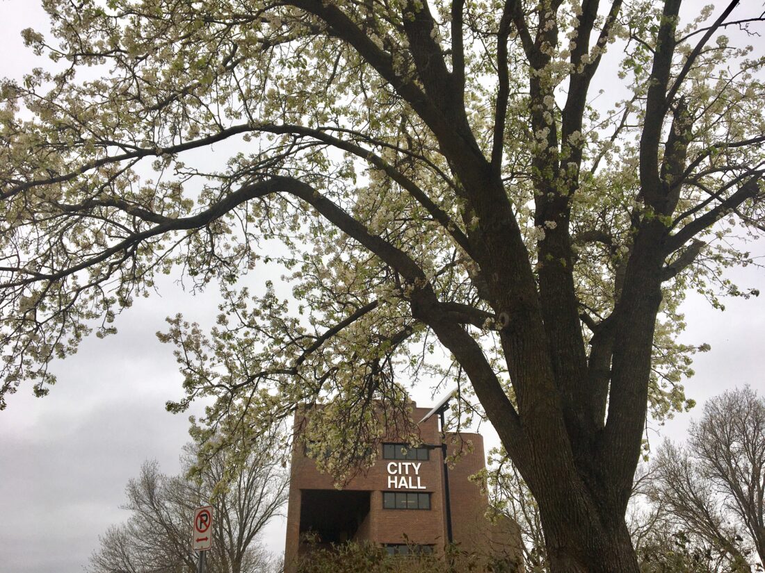 City of Lawrence working on plans to address spread of hundreds of